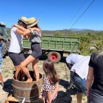 Joan Segura Pujadas La Verema del Cava