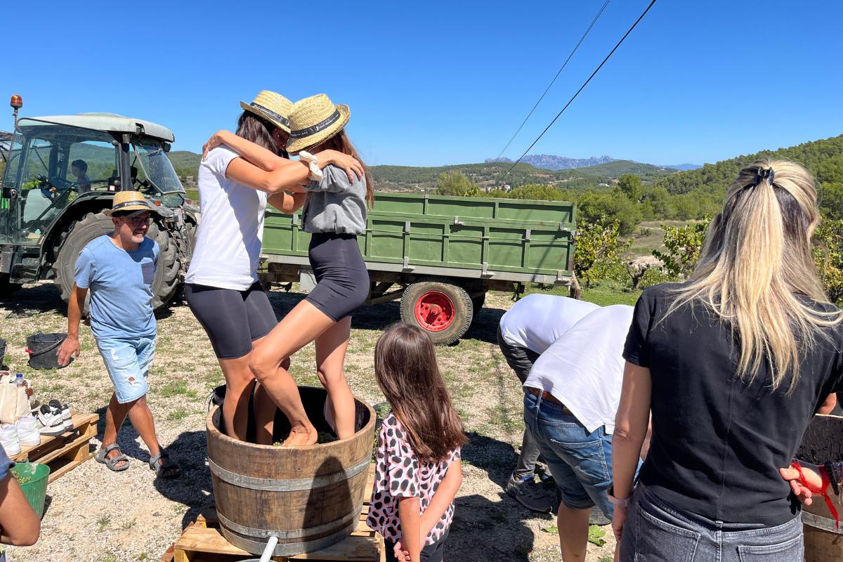 Joan Segura Pujadas La Verema del Cava