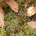Vilarnau La Verema del Cava
