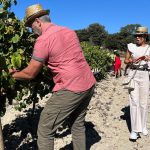 Joan Segura Pujadas La Verema del Cava