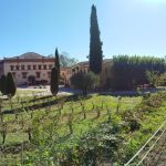 Pagès Entrena La Verema del Cava