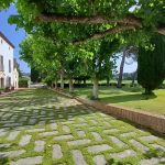 Sumarroca La Verema del Cava