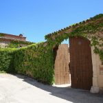 Carles Andreu La Verema del Cava