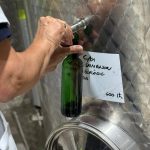 Covides La Verema del Cava
