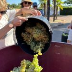 Canals i Munné La Verema del Cava
