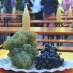 Carles Andreu La Verema del Cava