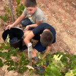 Canals i Munne La Verema del Cava 3